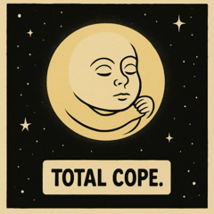 The View From Risk City