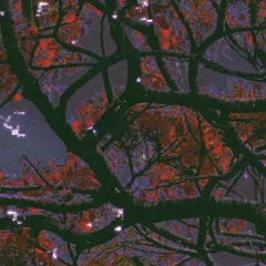 WE DONT GET ALONG [DEMO - 14.09.2025] prod. Scatha