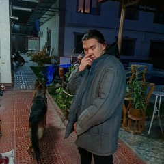 Shake it (ft. Rola, DomenaVR)