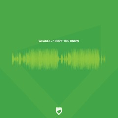 Weagle - Don't You Know (STPT079i)