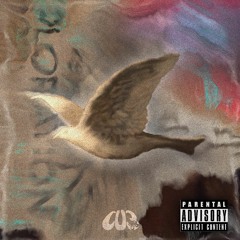 Cu3tom - TEMPER (prod. cu3tom & towmmy)