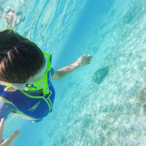 Best Snorkeling In Oahu For Beginners Prices Reviews