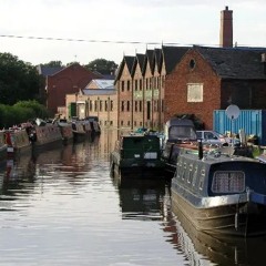 Dandelion Burdock Demo