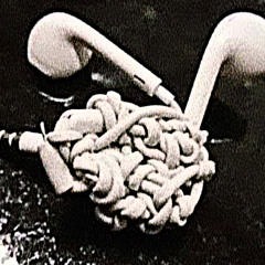 Line Dance (P. ninjuhs)