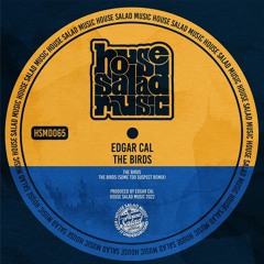HSMD065 Edgar Cal - The Birds (Some Too Suspect Remix) [House Salad Music]