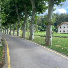 Çağan Şengül - Nolur Gitme