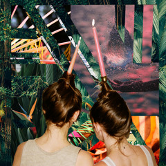 Jungle Vision 🌴