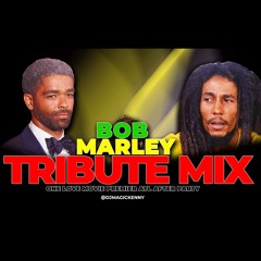 BOB MARLEY TRIBUTE MIX | BEST OF BOB MARLEY | ONE LOVE MOVIE PREMIERE AFTER PARTY IN ATL