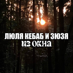 Из окна