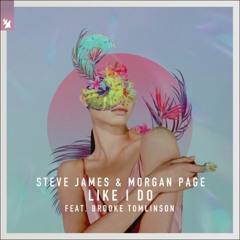 Morgan Page & Steve James - Like I Do (sprinkles remix)