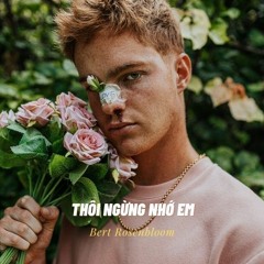 Thôi Ngừng Nhớ Em