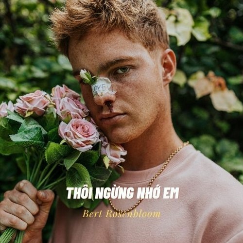 Thôi Ngừng Nhớ Em