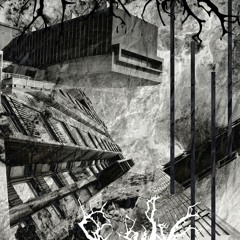 Rage Podcast #015 - Dr. Woot