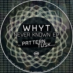 Premiere : WHYT - Never Known [TZH163]