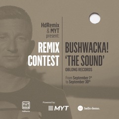 Bushwacka - The Sound (Lex Lowroom Remix)Free Download