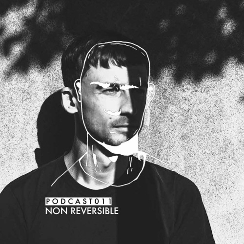 Bipolar Disorder Rec. Podcast 011 // Non Reversible