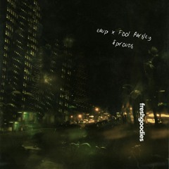 eaup & Fool Parsley - Sprouts