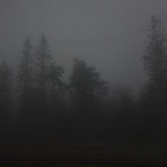 раны на руках #forest #tired