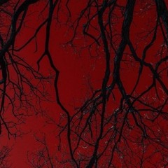 Haunt (Prod. Ill Instrumentals)