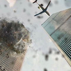 Northwood Mockingbird