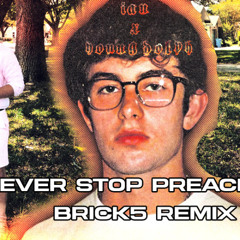 Never Stop Preachin ( BRIcK5 Remix )