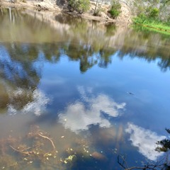 six60 somebody to be around x amy shark c mon x see you again charlie puth