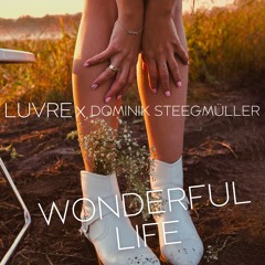 WONDERFUL LIFE