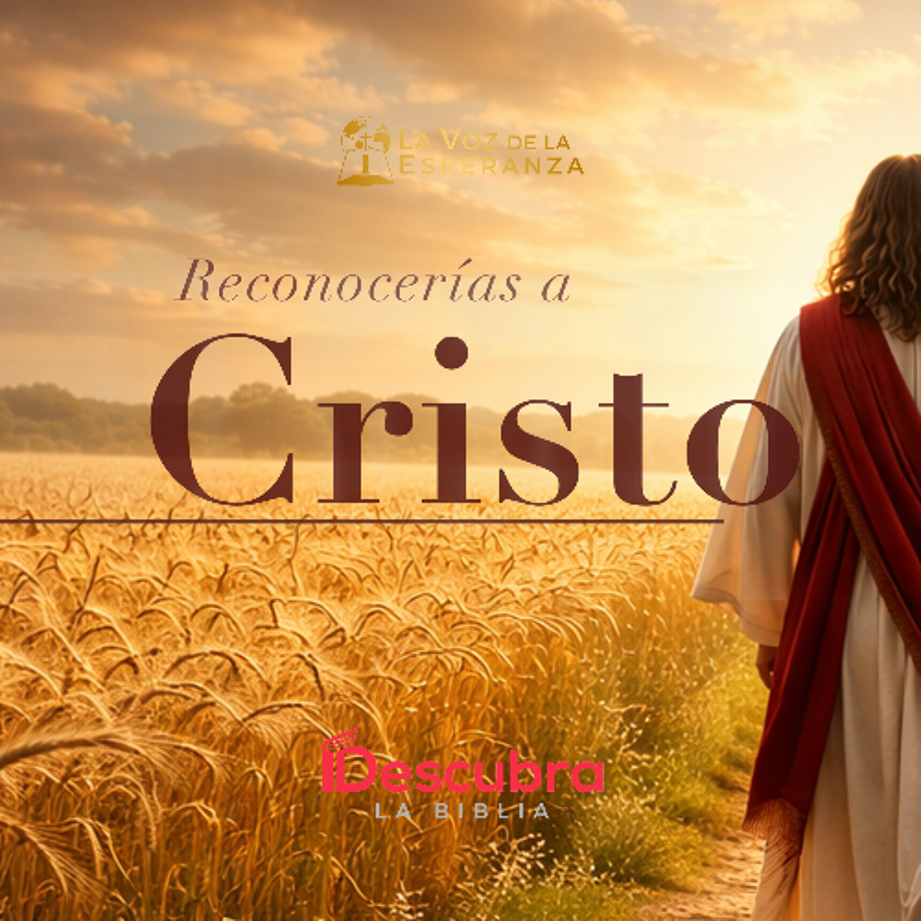 ¿Reconocerías a Cristo?