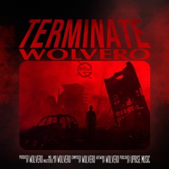 Wolvero - Terminate (Original Mix)