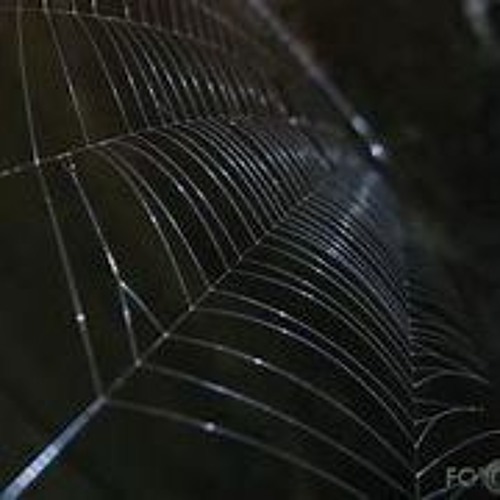 SP