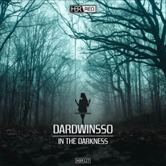 DardWinsso - In The Darkness