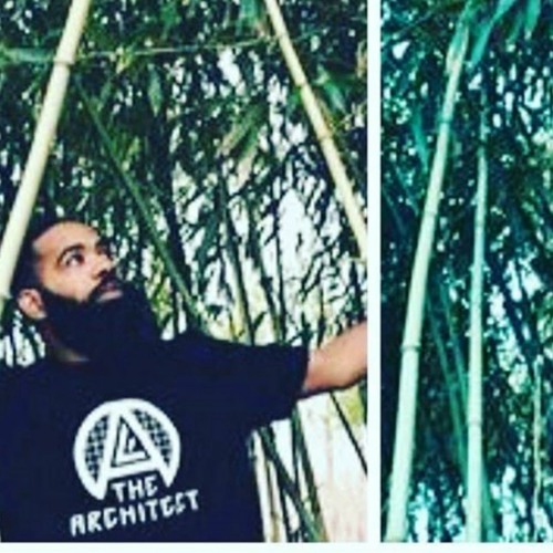 Ride Out - Ali The Architect