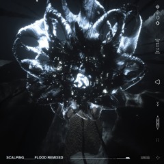 Deadlock (Aqxdm Remix)