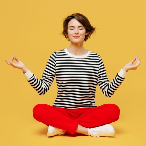 Deep Insight Meditation: Gaining Insight and Clarity Into an Issue.