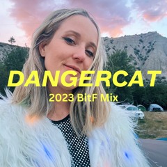 Dangercat - 2023 BitF - Sexy House Mix