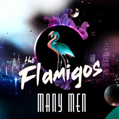 MANY MEN (FLAMIGOS REMIX)