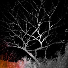 The Sleeping Tree (Ambient Trance Mix)