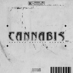 AliPashaw & Lara Ft. Rezaabnd - Done Barf