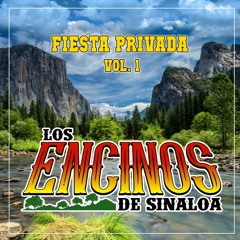 Los Mandados (En Vivo)