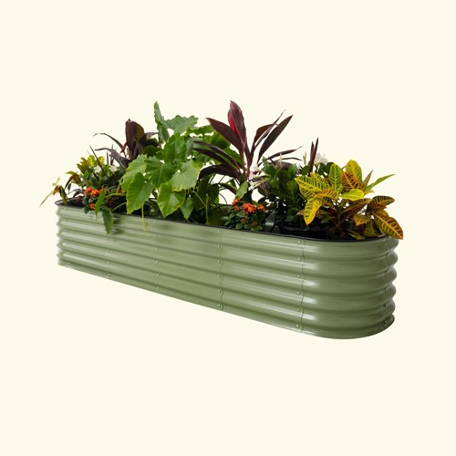 Stream The Pros and Cons of Galvanized Raised Beds for Your Garden by