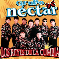 Grupo Néctar - Cerveza, Rono Y Néctar (DEMO)