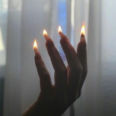 seclusion (curtains + taxpurposes)