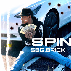 BRICK-SPIN-2019