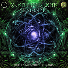 Into the Quantum Visions I DJ Set