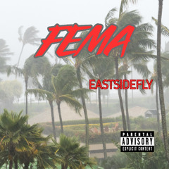 FEMA