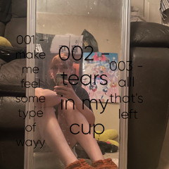 003 - all that's left