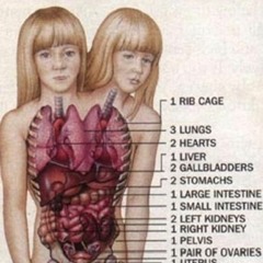 C806fd16f464d89b5292ad57b6f31f8c