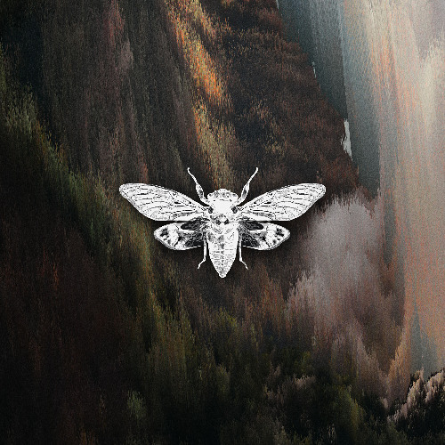 PREMIERE: Fabulous ─ The End (Original Mix) [Ciccada]