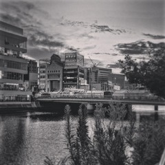 마루노우치 새디스틱 (Marunouchi Sadistic)