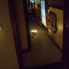 I AM THE TREE - Riki's Spaceship (original)